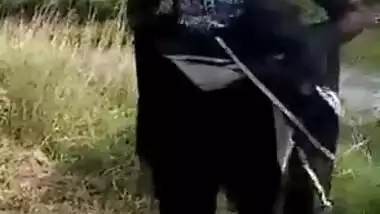 Female exposes her XXX boobies and snatch in Indian outdoor sex video